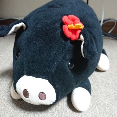 mummy@mummyがあらわれた！