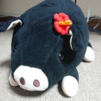 mummy@mummyがあらわれた！