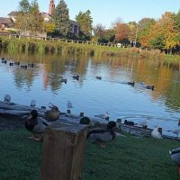 John B. Britain free from Corrupt Politicians!