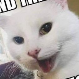 mightymousecutie425 ☺️