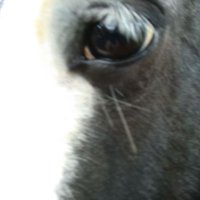 Delight🏇🐴🇲🇫