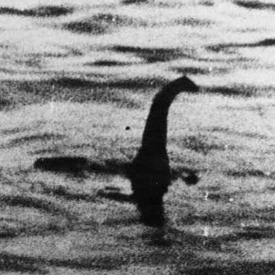 𝕄𝕠𝕤𝕥𝕣𝕠 𝕕𝕖𝕝 𝕃𝕒𝕘𝕠 𝕄𝕖𝕤𝕤 🇵🇸