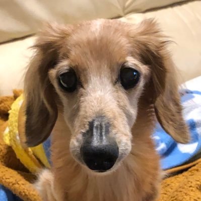 🍇💜ゆうき❤️（ゆっきー）