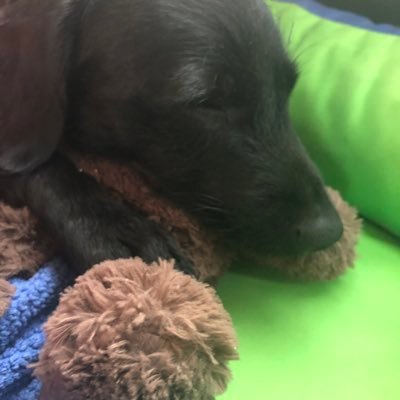 P (Lady P of Soggy Bottom) 📎🇮🇪 🐟🇺🇦🇪🇺💙😷