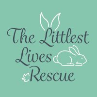 The Littlest Lives Rescue