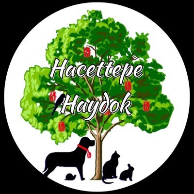 🌿Hacettepe Haydok 🐾