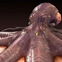 Ricardo Timoteo do R Sorroche