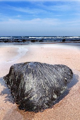 The Reluctant Investor 🇺🇦