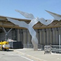 ハチロー、人生を楽しむ