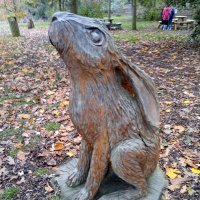 Paul Cole 🇪🇺🇬🇧🏴󠁧󠁢󠁥󠁮󠁧󠁿