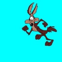 Susan Chubb#FBPA⚫️#RejoinEU 💙MIPO🌻🏴‍☠️ 🥀