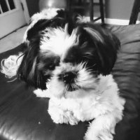 BITCH (Babe In Total Control of Herself)