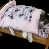 全日本お布㌧協会(道明寺 司)