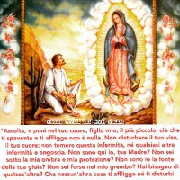 Vi ho chiamato amici