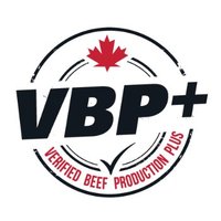 VBP+ Canada