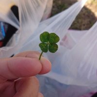 猫目石(^ΦωΦ^)猫尻尾