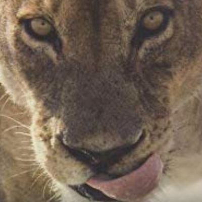 GENIA PARRILLERA🩵🇵🇾