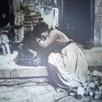 concetta ️🏳️ amo tutti i popoli🍉🔻