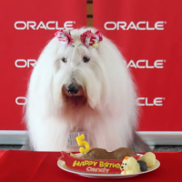 犬語でつぶやくCandy@OCI ReleaseNotes