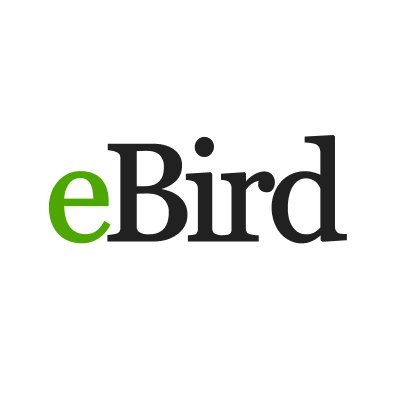 eBird