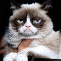 Bellerophon is staying out of trouble🧐