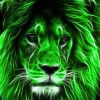 HappenIwill 🏴󠁧󠁢󠁳󠁣󠁴󠁿🇪🇺🦋 🇺🇦🇵🇸