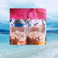 🌹Rann𓈒 𓂂𓏸🐬