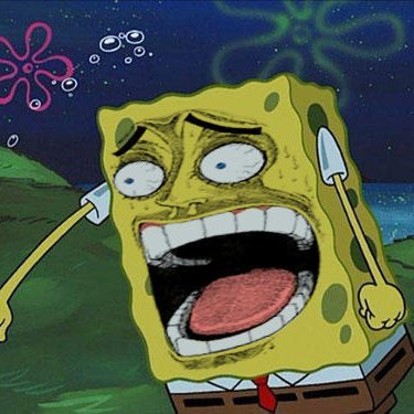 memepaspeur 🇫🇷