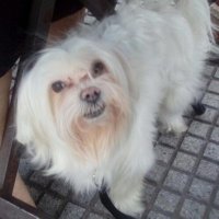 #LeydeExtincióndeDominio YA 🇦🇷💛💛