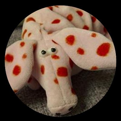 Sonja Geagricola 🌈😷🇪🇺