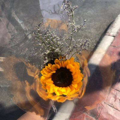 🐶ด้อมด้อม🐻‍❄️มองมอง🐶นกขุนทองร้องฮู้🐻‍❄️