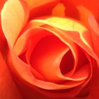 Sehr origineller Name 📯 ☮️ #wirsindmehr