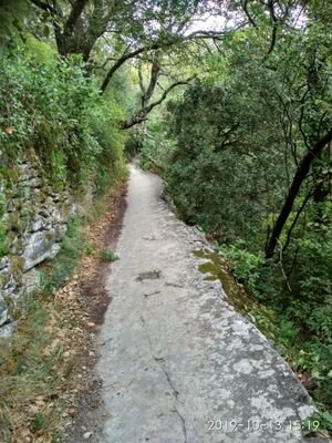 Floyd 07 🇫🇷🇪🇺🇺🇦