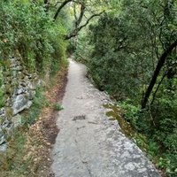 Floyd 07 🇫🇷🇪🇺🇺🇦