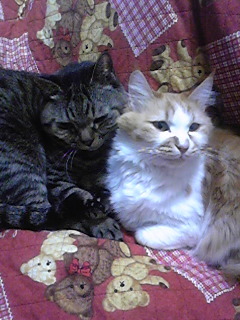 ボブヤス・ハマー