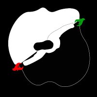 Medio Oriente e Dintorni