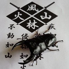 酔いどれ(関東奈良輪収会所)