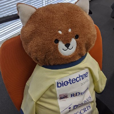 プロテインシンプル