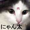 にゃん太