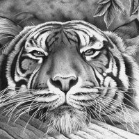 Edgard_Aller Riviere