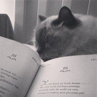 you_wore_a_shirt_of_violent_green_uh_huh