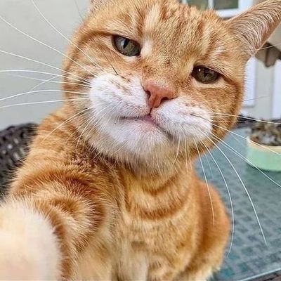 Brayan Pastrana Velez