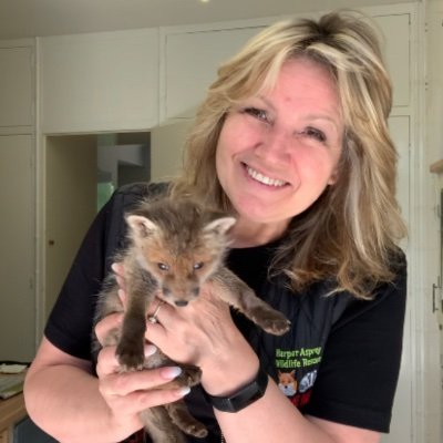 Brian May's Save Me Trust