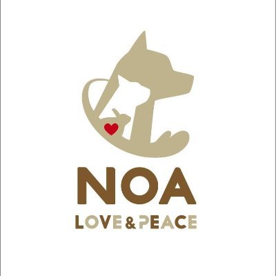 LOVE&PEACE ‐ NOA（いぬ・ねこの里親募集 大阪府・関西）