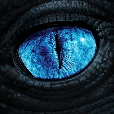 CFrox 🇺🇦🇩🇪