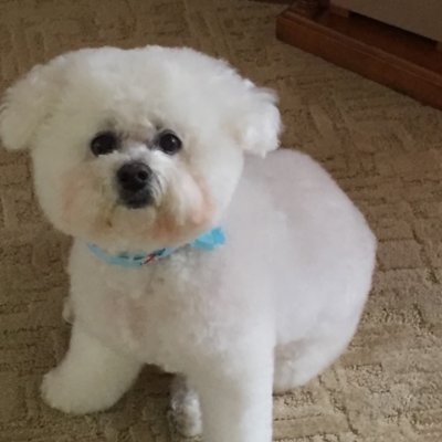 MAGA Common Sense wins the day!