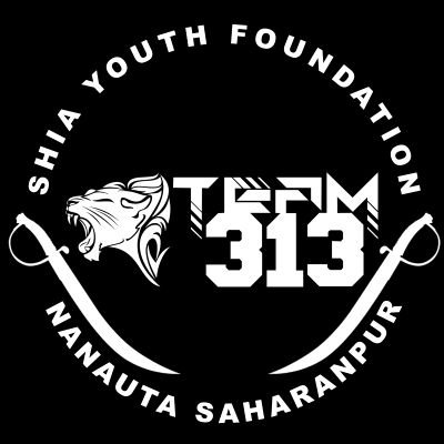 Team 313 SYF