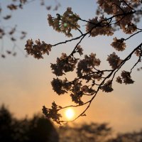 パン屋のクマさん