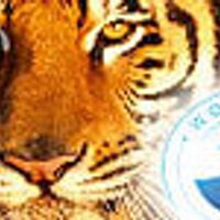 Oscar F Smith High School