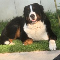 Pria im Herzen - Amy & Jeany bei mir